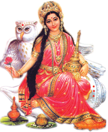 A vahana is a vehicle or the carrier of something immaterial and formless.  The vehicles of the gods and goddesses in Hinduism are animal mounts that the gods/goddesses ride.  All the Hindu gods and Hindu goddesses are represented as using vahanas to separate themselves; each vehicle is very different and even more symbolical.  Below is a list of each god and goddess that has a designated vahana, what their vahana is, and the symbolism behind the vahana.